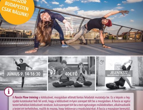 Fascia Flow Workshop Budapest 9 June 2018