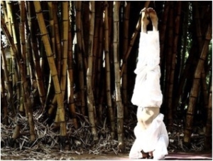 yogasutrashala1